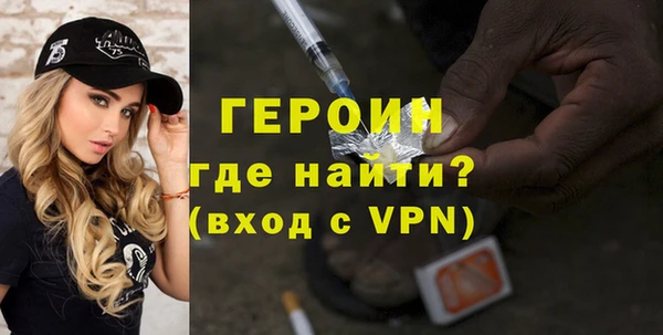 индика Гусев