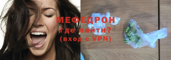 индика Гусев