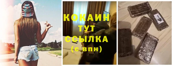 индика Гусев