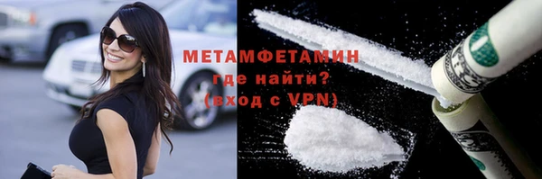 индика Гусев