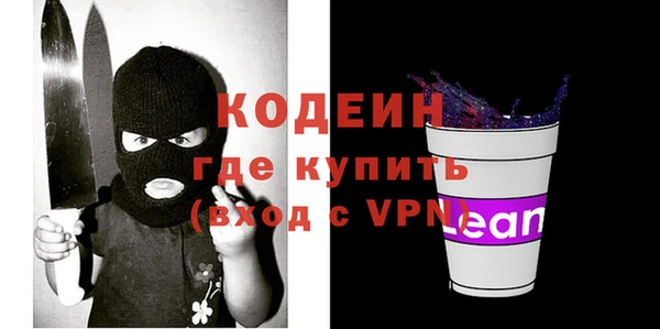 индика Гусев