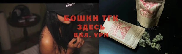 бошки Дмитриев