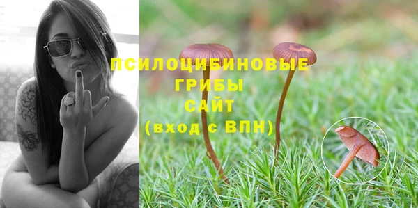 альфа пвп Чегем