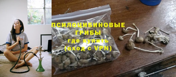 не бодяженный Гусиноозёрск