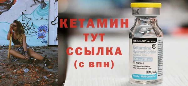 индика Гусев