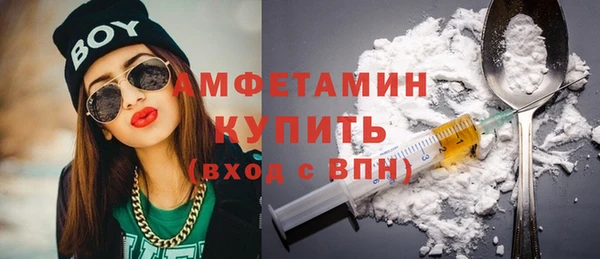 индика Гусев