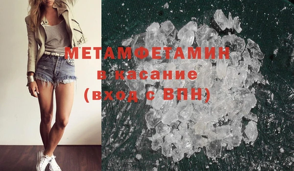 индика Гусев