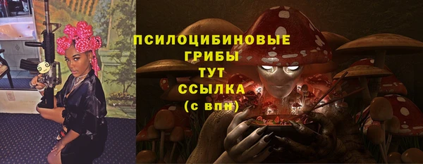 не бодяженный Гусиноозёрск