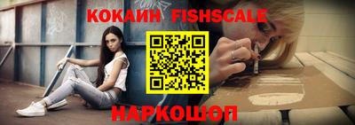 индика Кингисепп