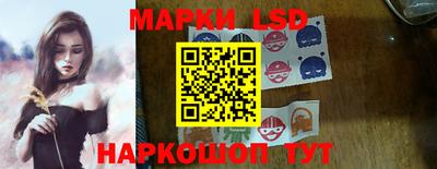 индика Кингисепп