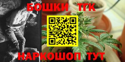 индика Кингисепп