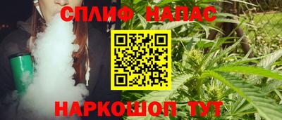 индика Кингисепп