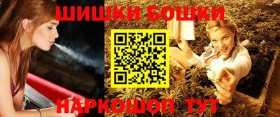 индика Кингисепп