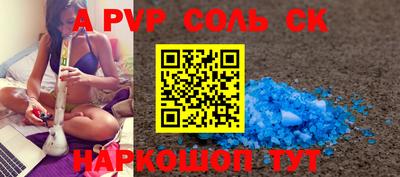 индика Кингисепп