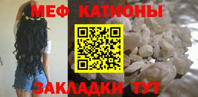 индика Кингисепп