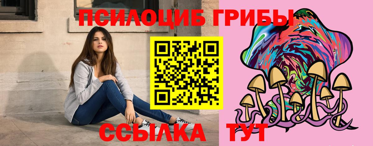 Псилоцибиновые грибы MAGIC MUSHROOMS  Вход с VPN  Похвистнево 
